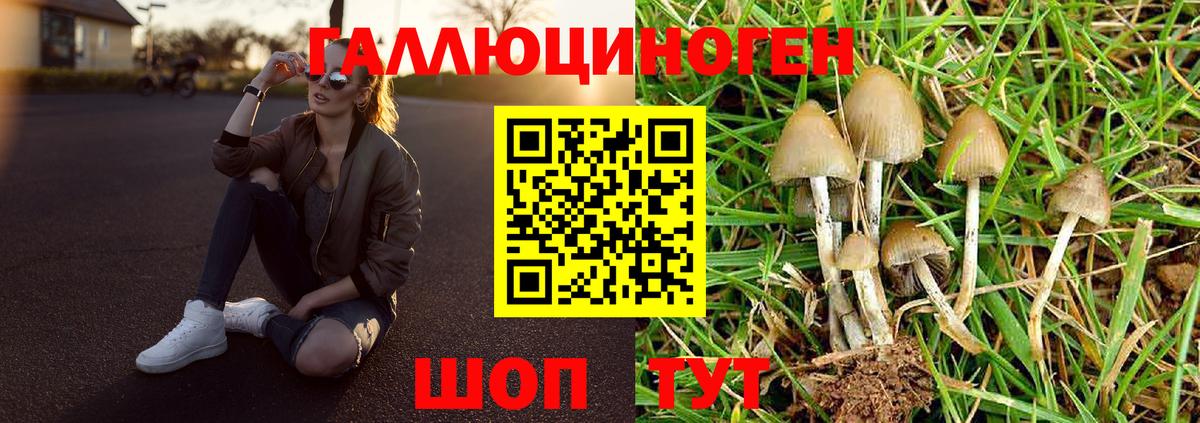 Галлюциногенные грибы Psilocybine cubensis  Вход с VPN  Гусев 